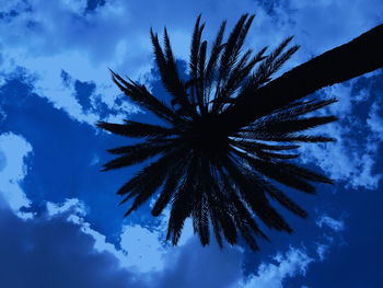 Low angle view of tree against blue sky