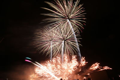 Low angle view of firework display at night