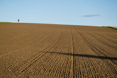 Scenic view of field against clear sky