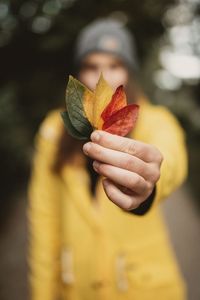 Close-up of hand holding leaf