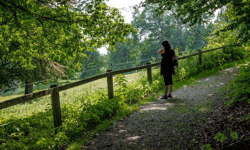 Woman standing on footpath in forest