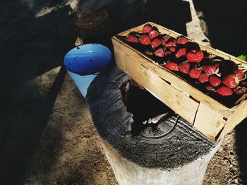 High angle view of fruits in container