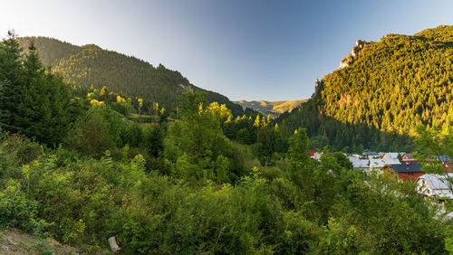 Scenic view of trees and mountains against sky