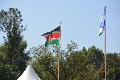 Flag flags against clear sky