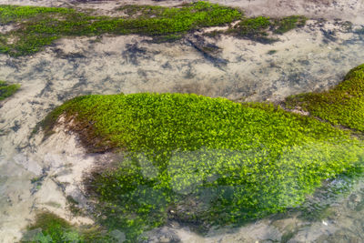 high angle view