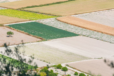 High angle view of agricultural field