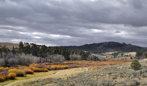 Scenic view of landscape against sky