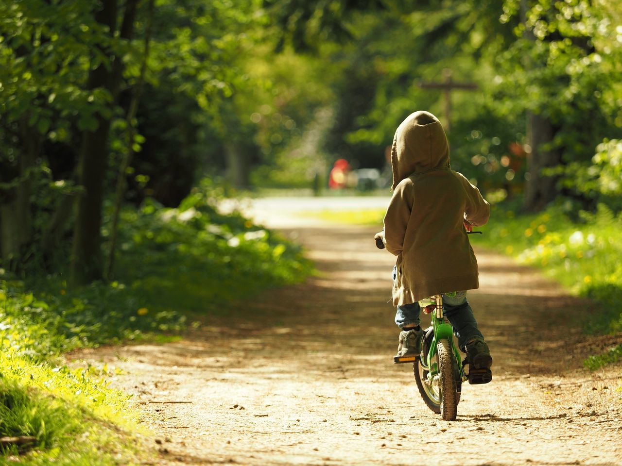 full length, rear view, lifestyles, riding, leisure activity, tree, land vehicle, casual clothing, mode of transport, road, on the move, cycling, the way forward, day, green color, outdoors, growth, nature