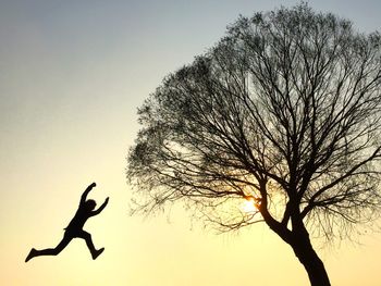 Low angle view of silhouette bare tree against sky
