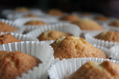 Close-up of cupcakes