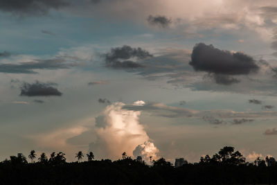 Low angle view of silhouette trees against sky during sunset