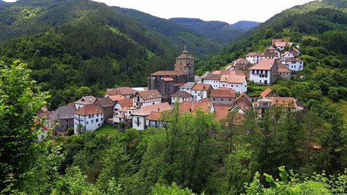 Houses and trees in town