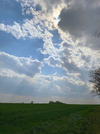 Scenic view of field against sky