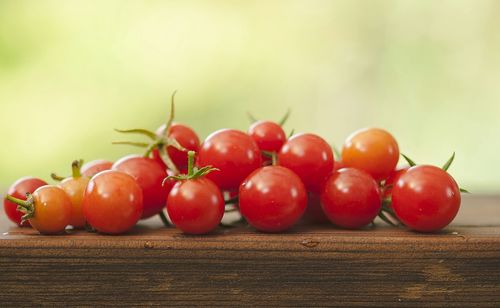 Close-up of tomatoes