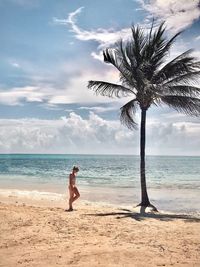 Man and palm tree on beach against sky