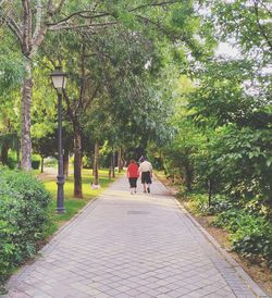 Rear view of people walking on footpath amidst trees