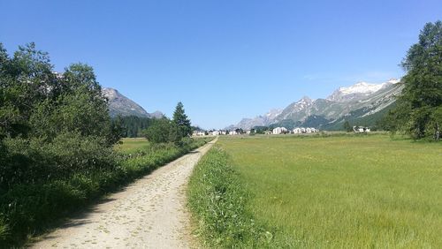 Scenic view of field against clear sky