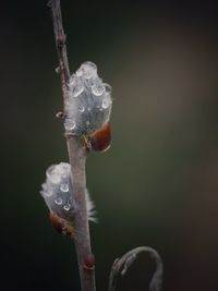 Close up of water