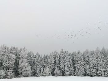 Scenic view of snow covered trees against sky