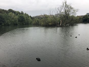 Scenic view of lake against sky