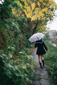 Rear view of woman with umbrella walking on footpath during rainy season