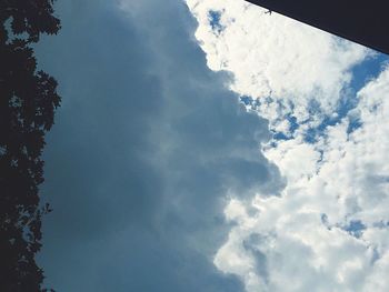 Low angle view of trees against sky