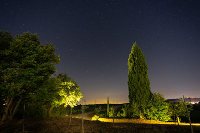 Trees on field against sky at night