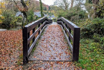 Footbridge amidst trees in forest during autumn