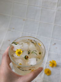 High angle view of hand holding glass of white rose