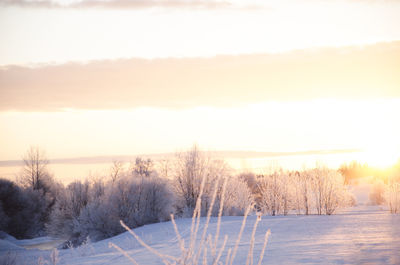 Snow covered field against sky during sunset