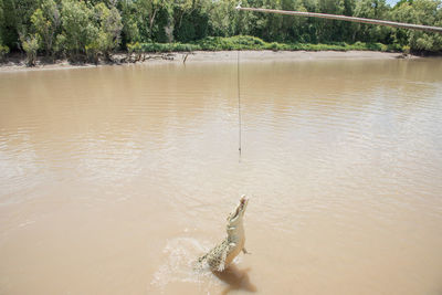 High angle view of person in lake