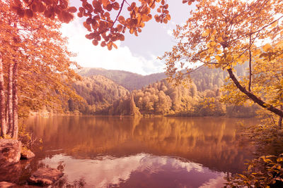 Scenic view of lake against sky during autumn