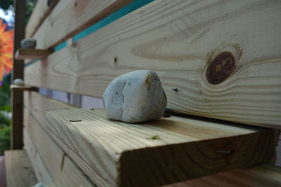 Close-up of wood on table