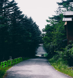 Road amidst trees against sky