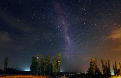 Trees growing on field against star field