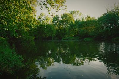 Scenic view of lake in forest against sky