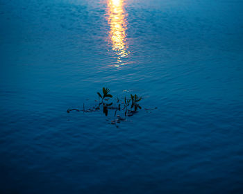 High angle view of a lake