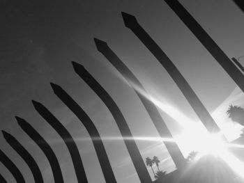 Low angle view of sun shining through trees