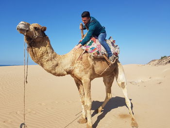Full length of smiling man riding camel at sahara desert against clear blue sky