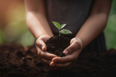 Woman holding a young plant in a pile of soil in her hand bokeh background