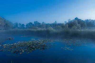 Scenic view of lake against blue sky