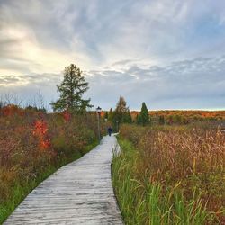 Footpath amidst field against sky