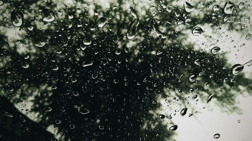 Close-up of water drops on glass