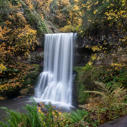 Scenic view of waterfall in forest