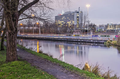 Canal, tree and hospital at twilight