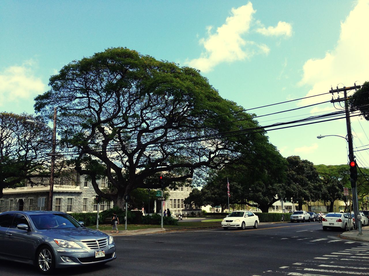 transportation, car, land vehicle, tree, mode of transport, road, sky, street, street light, growth, day, outdoors, low angle view, sunlight, traffic, cloud, cloud - sky, parking, no people, power line