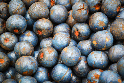 Full frame shot of blueberries