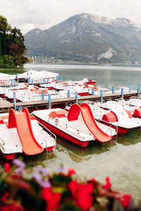 Annecy lake water channel bay with red flowers view to marina from annecy city. high quality photo
