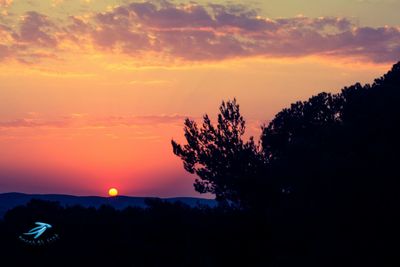 Silhouette trees against dramatic sky during sunset