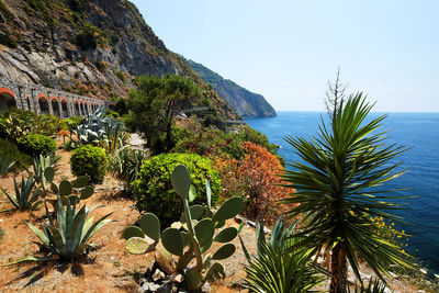 Plants on mountain by sea against clear blue sky